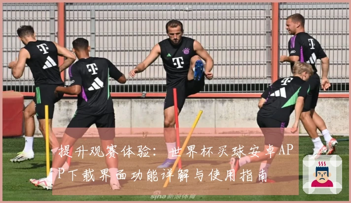 提升观赛体验：世界杯买球安卓APP下载界面功能详解与使用指南