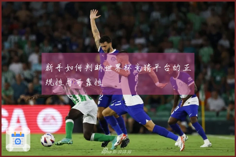 新手如何判断世界杯竞猜平台的正规性与可靠性