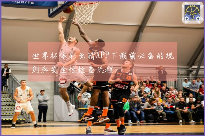 世界杯体彩竞猜APP下载前必备的规则和安全性检查流程