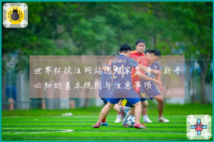 世界杯投注网站选哪家靠谱？新手必知的基本规则与注意事项
