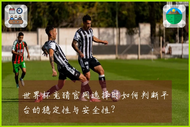 世界杯竞猜官网选择时如何判断平台的稳定性与安全性?