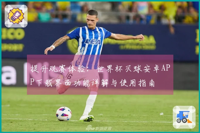 提升观赛体验：世界杯买球安卓APP下载界面功能详解与使用指南