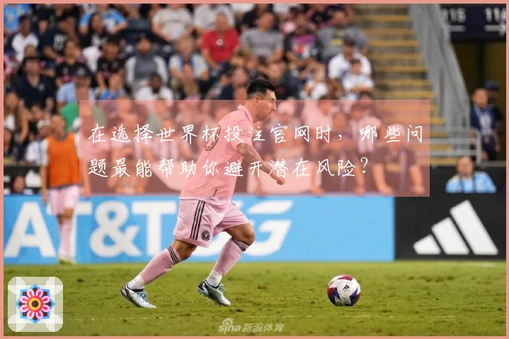 在选择世界杯投注官网时，哪些问题最能帮助你避开潜在风险？