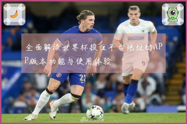 全面解读世界杯投注平台地址的APP版本功能与使用体验