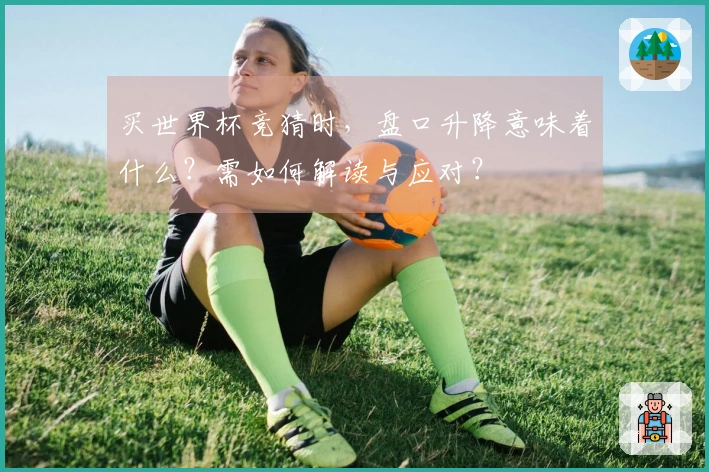 买世界杯竞猜时,盘口升降意味着什么?需如何解读与应对?