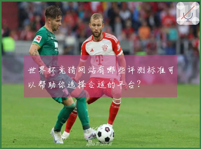 世界杯竞猜网站有哪些评测标准可以帮助你选择合适的平台？