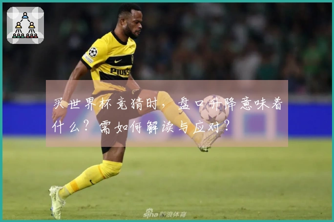 买世界杯竞猜时，盘口升降意味着什么？需如何解读与应对？