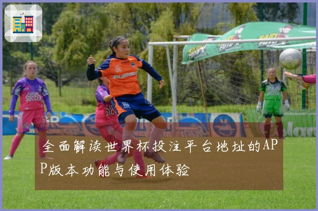 全面解读世界杯投注平台地址的APP版本功能与使用体验