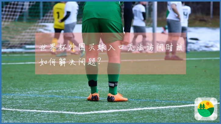 世界杯外围买球入口无法访问时该如何解决问题？