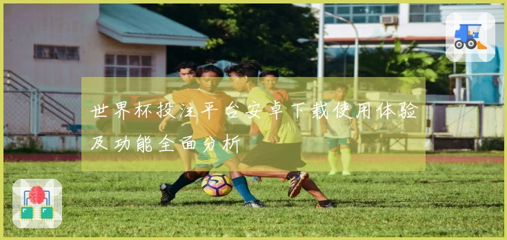 世界杯投注平台安卓下载使用体验及功能全面分析