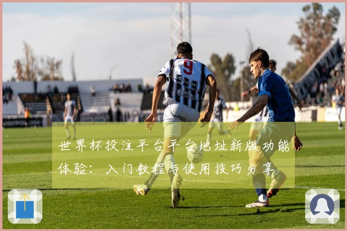 世界杯投注平台平台地址新版功能体验:入门教程与使用技巧分享