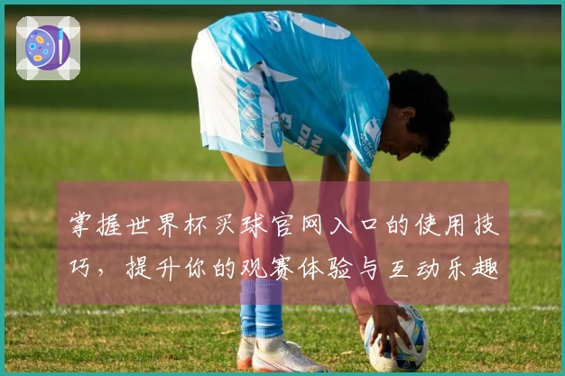 掌握世界杯买球官网入口的使用技巧，提升你的观赛体验与互动乐趣