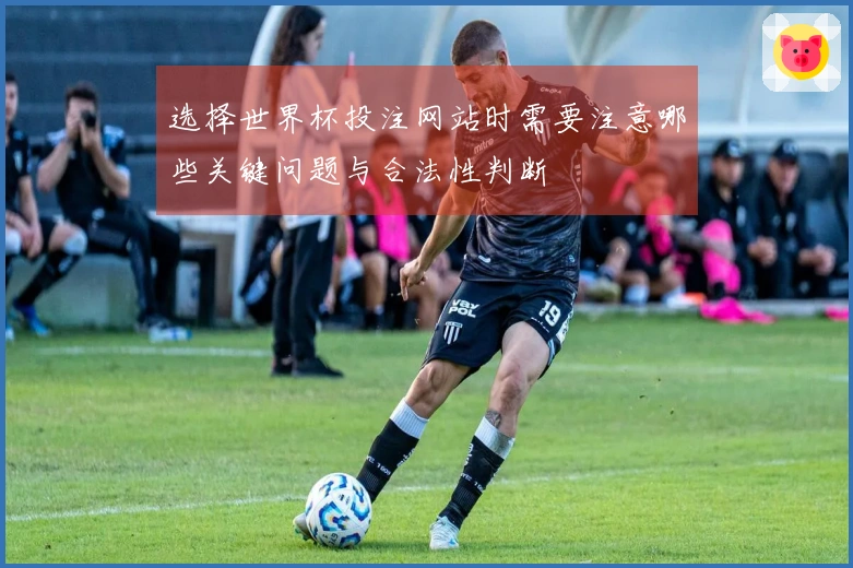 选择世界杯投注网站时需要注意哪些关键问题与合法性判断