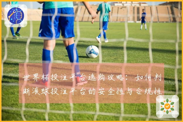 世界杯投注平台选购攻略：如何判断滚球投注平台的安全性与合规性？