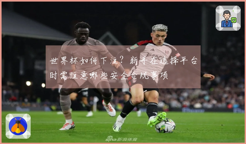 世界杯如何下注？新手在选择平台时需注意哪些安全合规事项