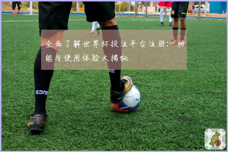 全面了解世界杯投注平台注册：功能与使用体验大揭秘
