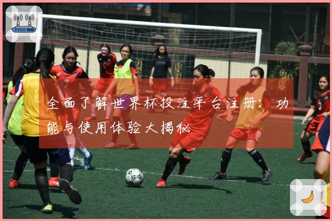 全面了解世界杯投注平台注册：功能与使用体验大揭秘